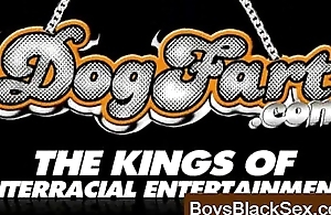 Blacks On Boys - White Well-pleased Boys Fucked By Black Dudes-22